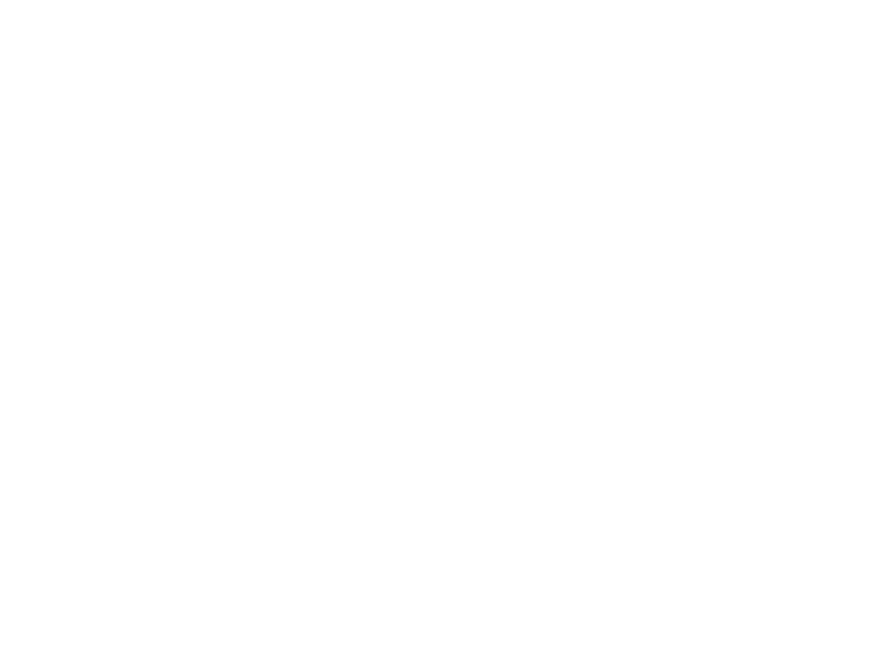 White Logo